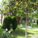 Отель Palme