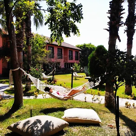 酒店 Palme 达利安