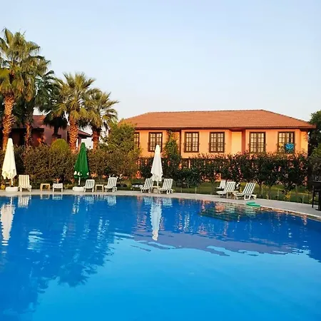 酒店 Palme 达利安