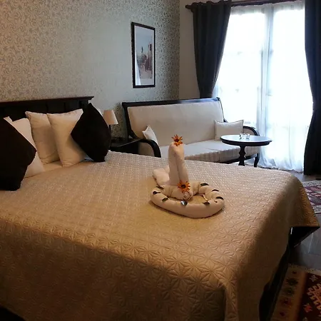 酒店 Palme 达利安