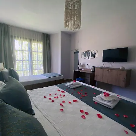 Palme 酒店 达利安