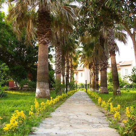 Palme Dalyan