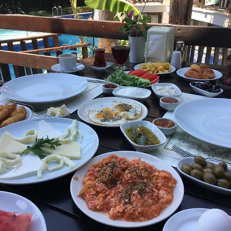 Palme داليان