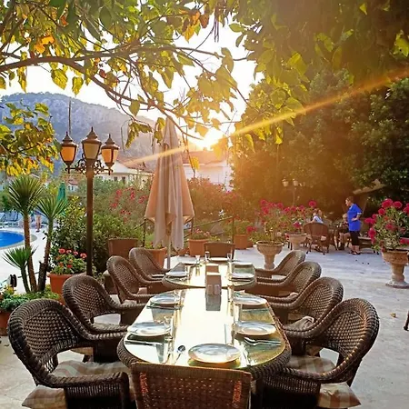 Palme 4* داليان
