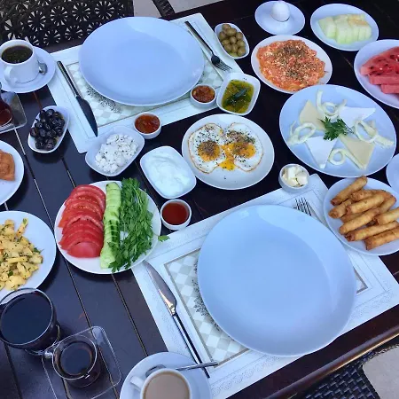 Palme فندق داليان