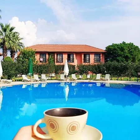 Palme 4* داليان
