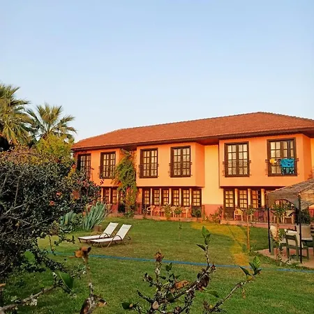 Palme فندق 4*