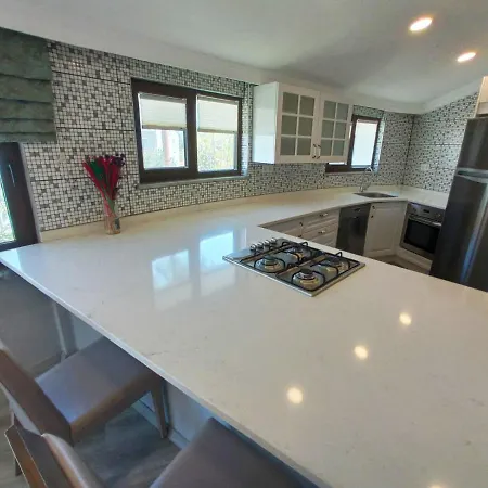 호텔 Palme 달리안