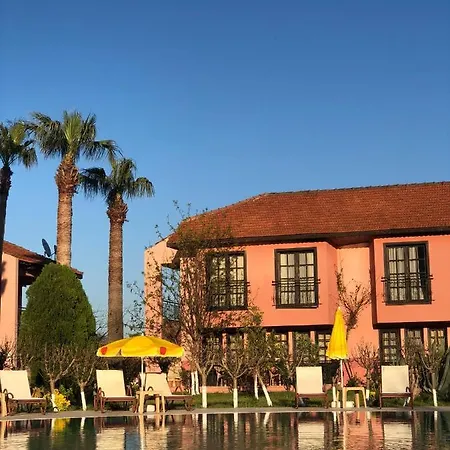 Palme 4* داليان