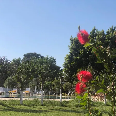 Palme فندق داليان