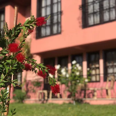 Palme فندق داليان