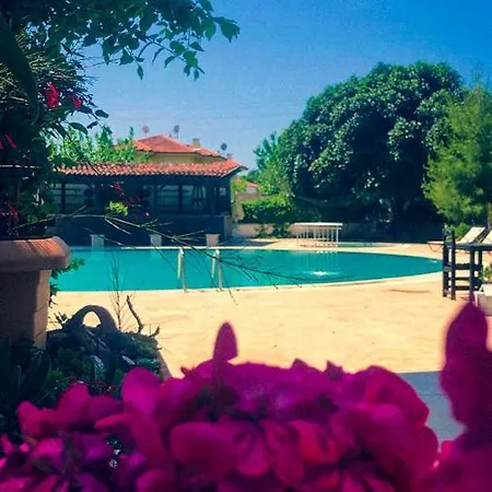 فندق Palme 4*