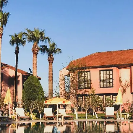 Palme 4* داليان