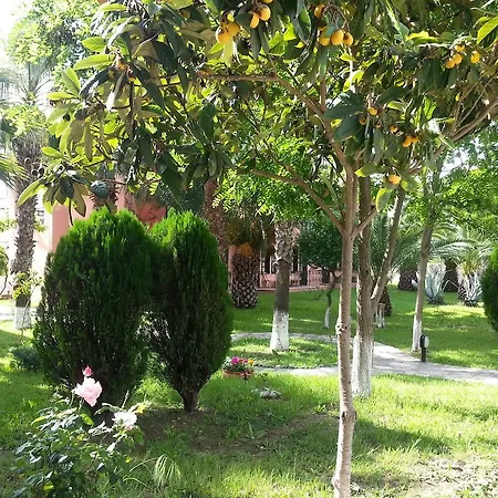 Hotel Palme