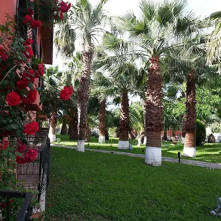 فندق Palme