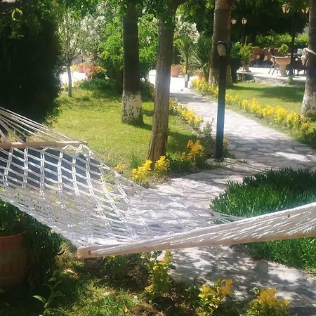 Palme 4*