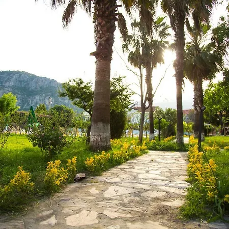 Palme فندق 4*