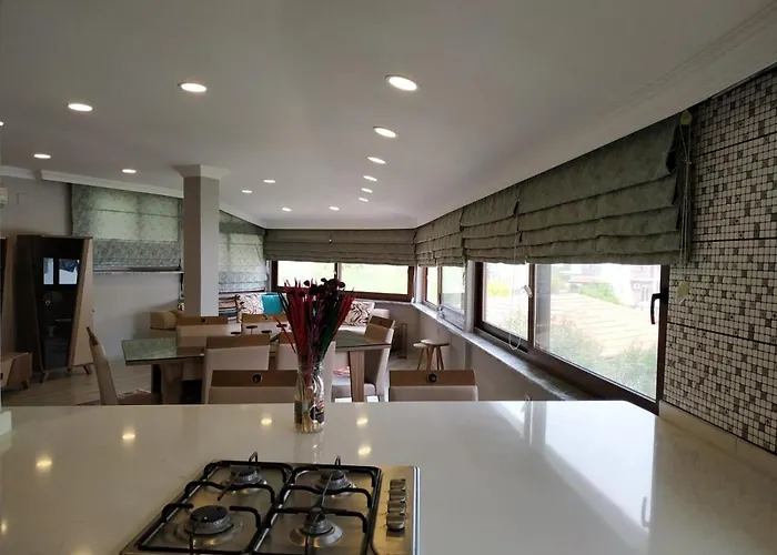 מלון Palme דליאן