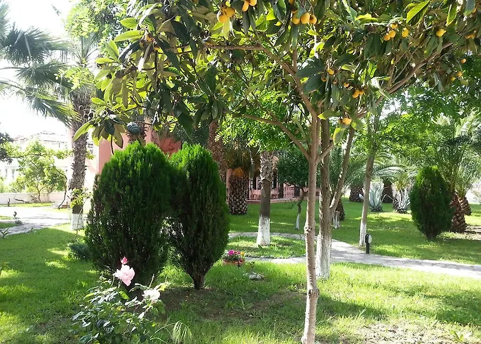 Hotel Palme